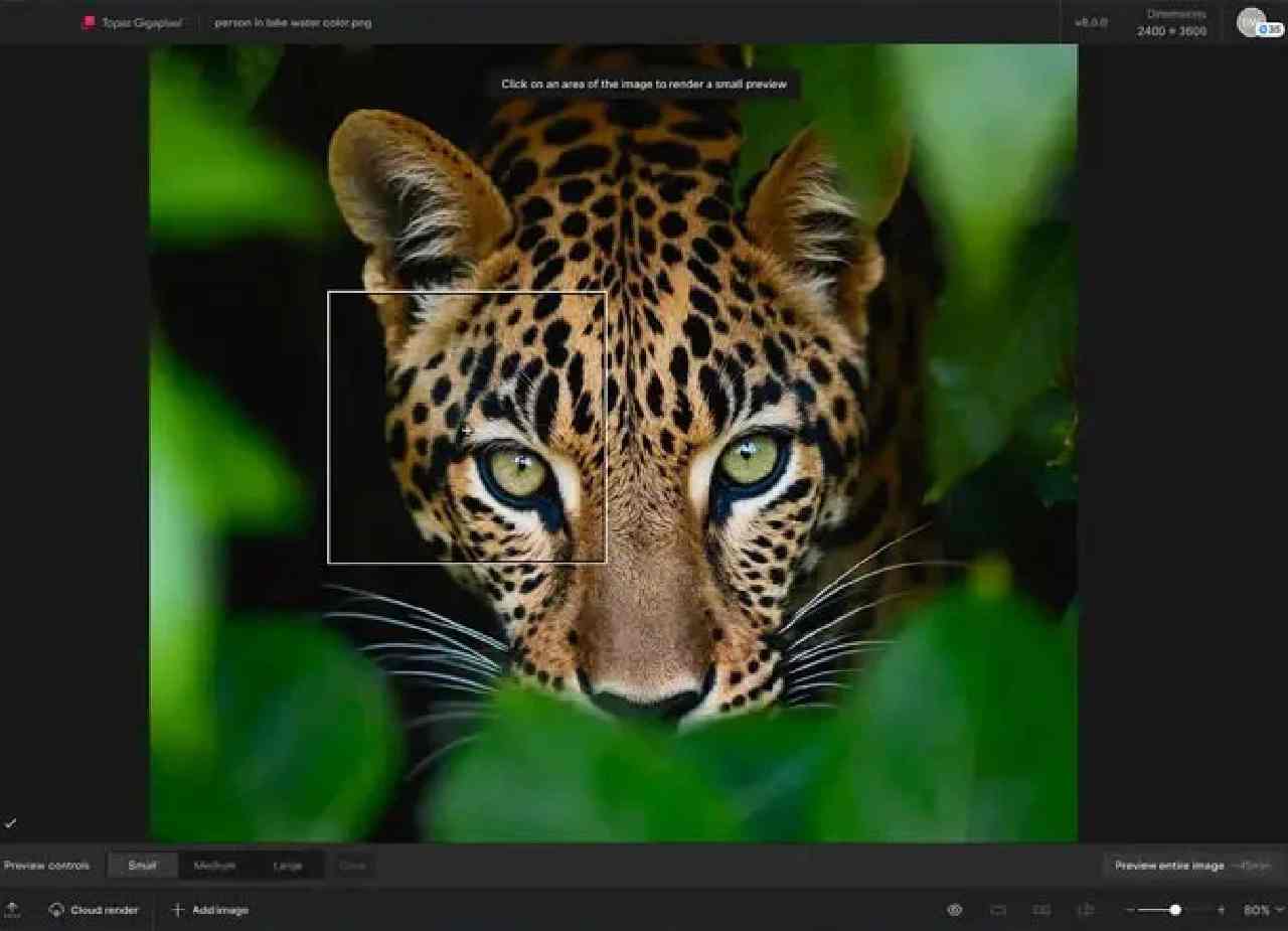 Topaz Gigapixel Pro for MacOS Download (Latest 2026)